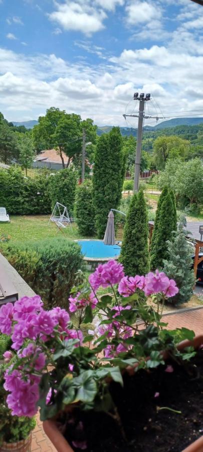 Casa Cu Muri Tîrgu Ocna Exterior foto